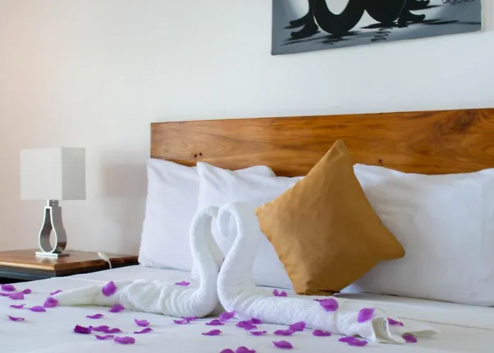Kaz Kreol 3*
